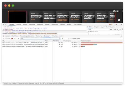 Screenshot of DevTools Coverage panel.