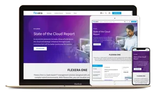 Screenshot of Flexera website.